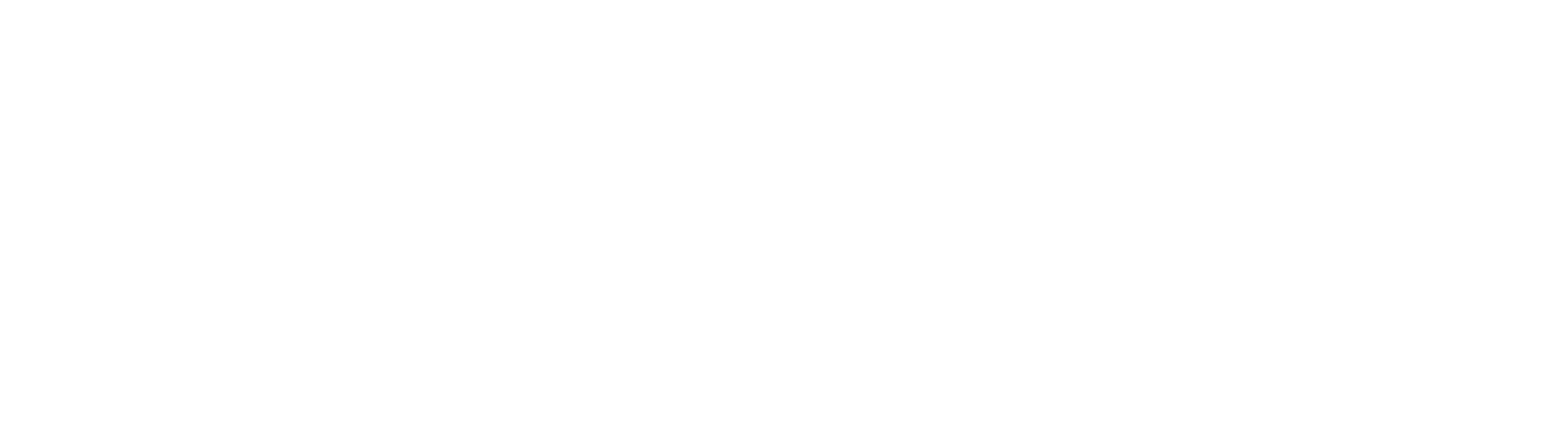 دیزل ژنراتور امیری لوگو سفید